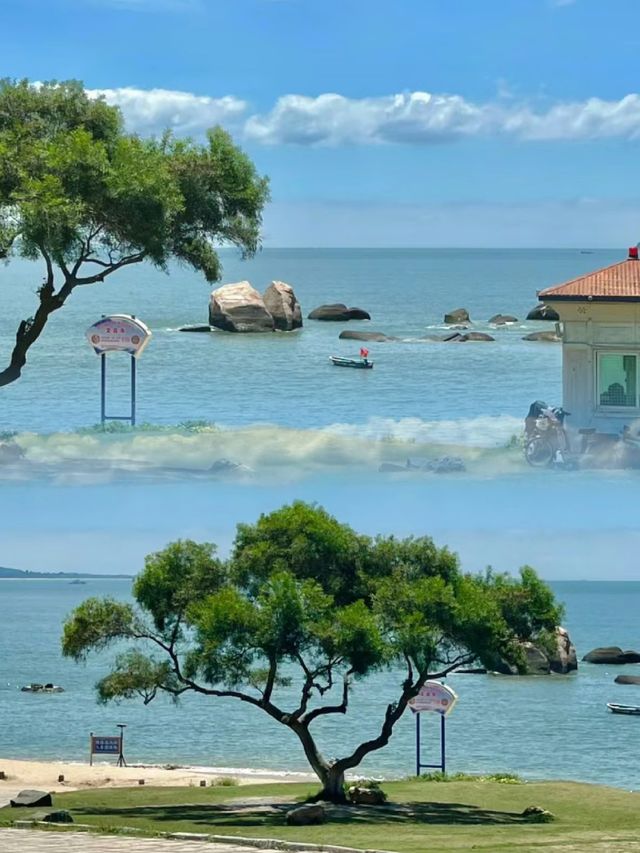 一到廈門就飛奔這裡!美絕了!! 一到廈門就飛奔這裡!美絕了!!