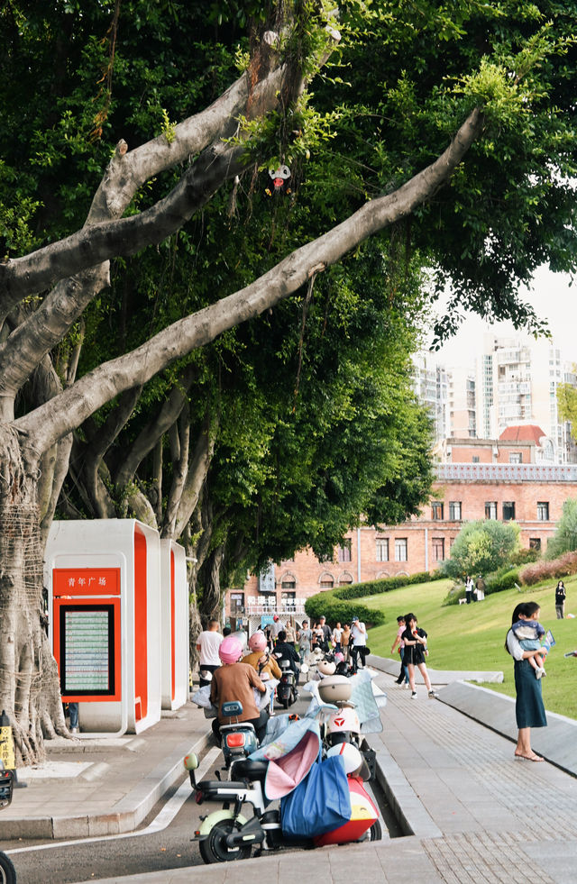 福州這座城市我真是太喜歡啦！