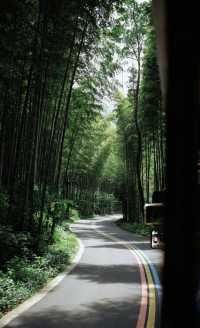 江浙滬最寶藏的旅行城市出現了
