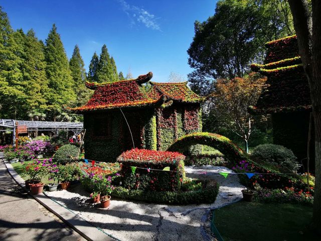 東平國家森林公園是華東地區最大人工森林