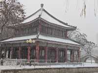 白雪映古建，岁晏尘事歇——雪舞天津老建筑