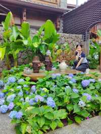 在麗江 | 居然真的住進了莫奈花園裡，美腻啦！