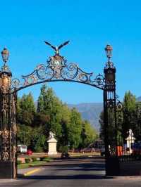 🌟 Mendoza Marvels: Top Hotel Picks! 🏨🍇