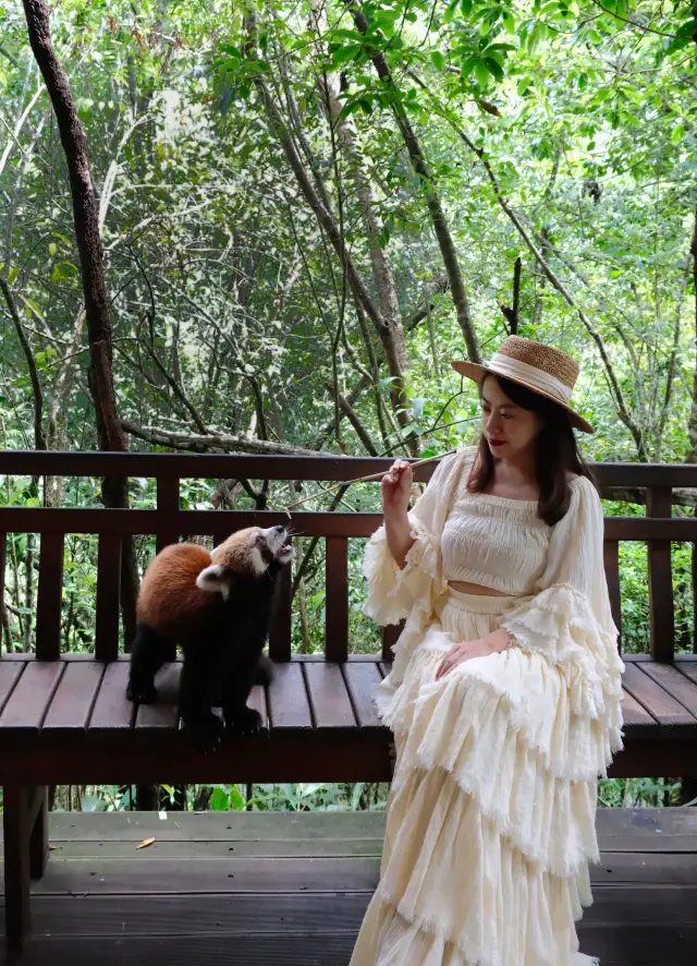 普洱兩天一夜攻略