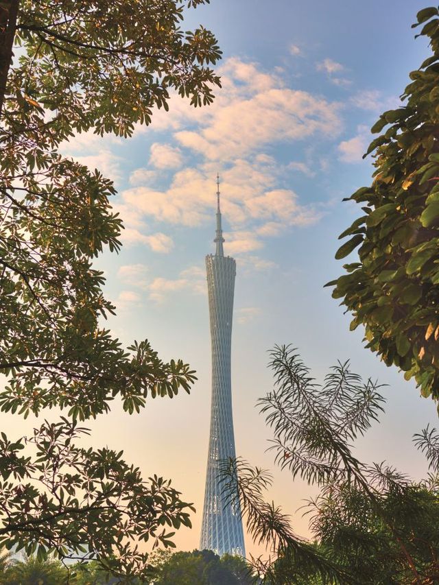 🌟 Guangzhou's Sky-High Luxury: Ritz-Carlton & Rosewood Revealed 🌆✨