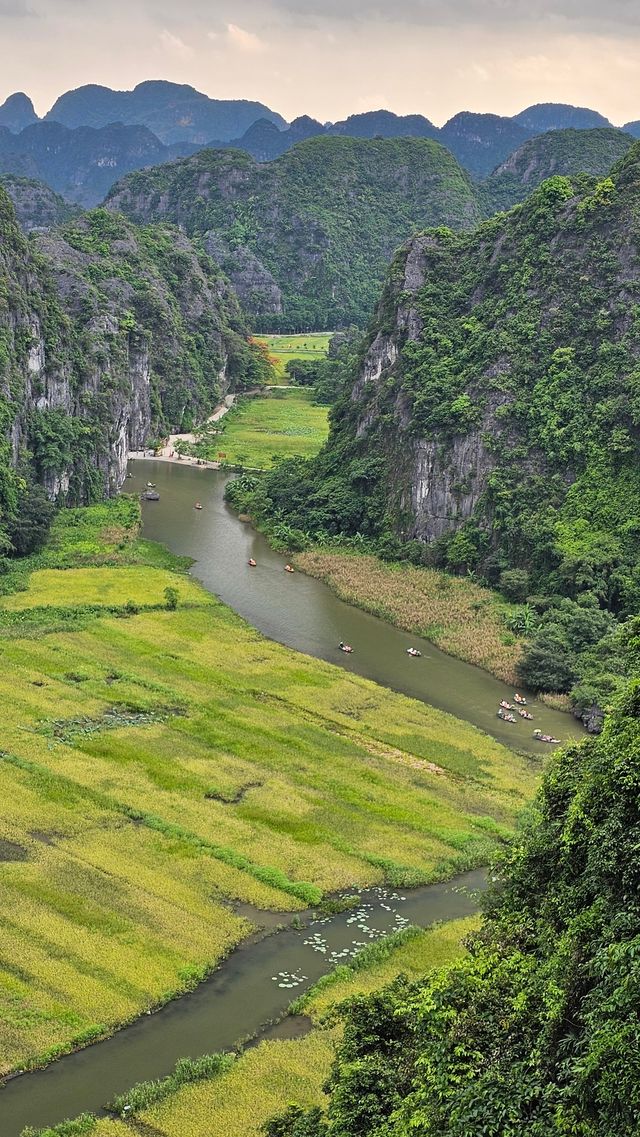 寧平臥龍山--登高望遠好去處
