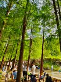 老家來人了玩轉深圳之馬巒山公園