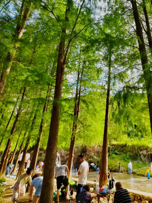 老家來人了玩轉深圳之馬巒山公園