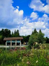 阿西尼博因公園：在這裡可以看到胖嘟嘟的北極熊在你頭頂游泳打鬧