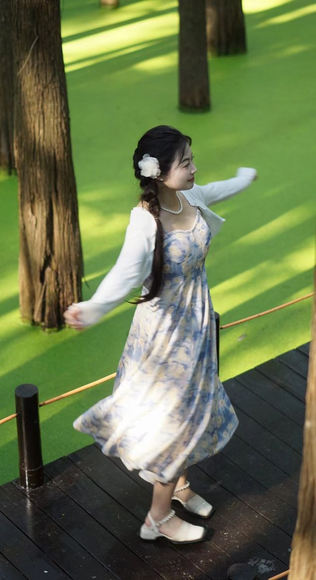 探索紅樹林,暢享自然之美! 探索紅樹林,暢享自然之美!