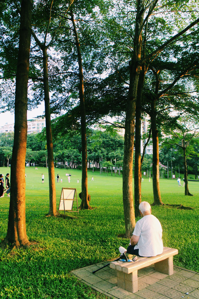 深圳龍潭公園，是繁華都市裡的一枚發光的綠寶石！