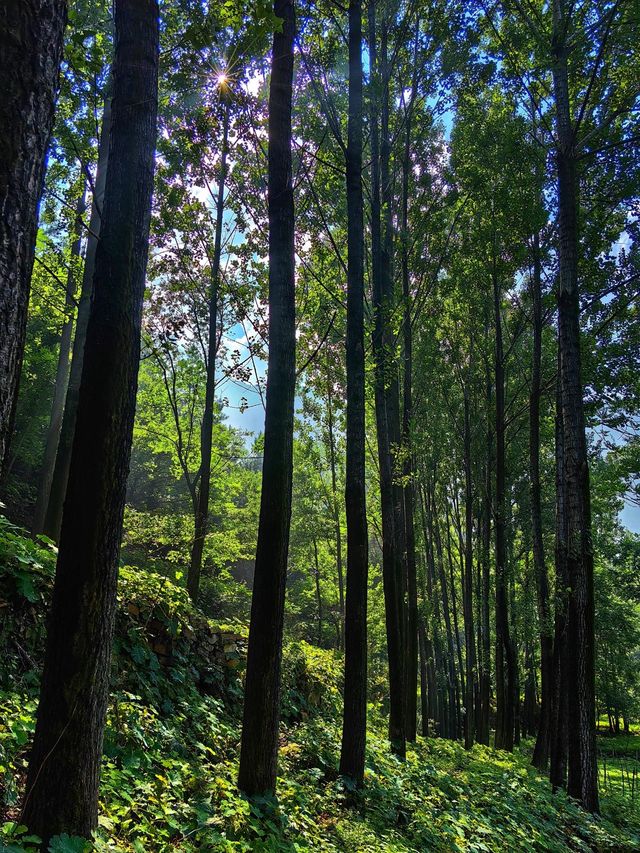 萬仙山景區