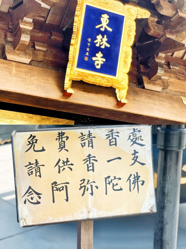 東林寺|江西旅遊除了廬山我更建議你來這裡
