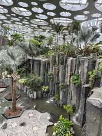 上海遛娃新去處｜上海溫室花園太美了吧