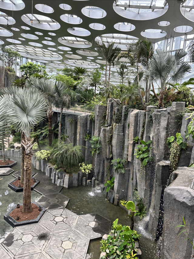 上海遛娃新去處｜上海溫室花園太美了吧