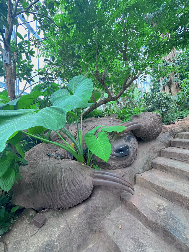 上海溫室花園 一場奇幻的植物之旅