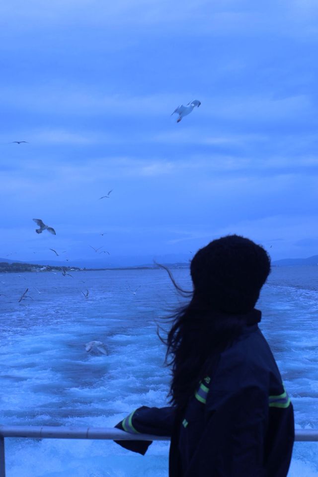 探索挪威的奇幻之旅