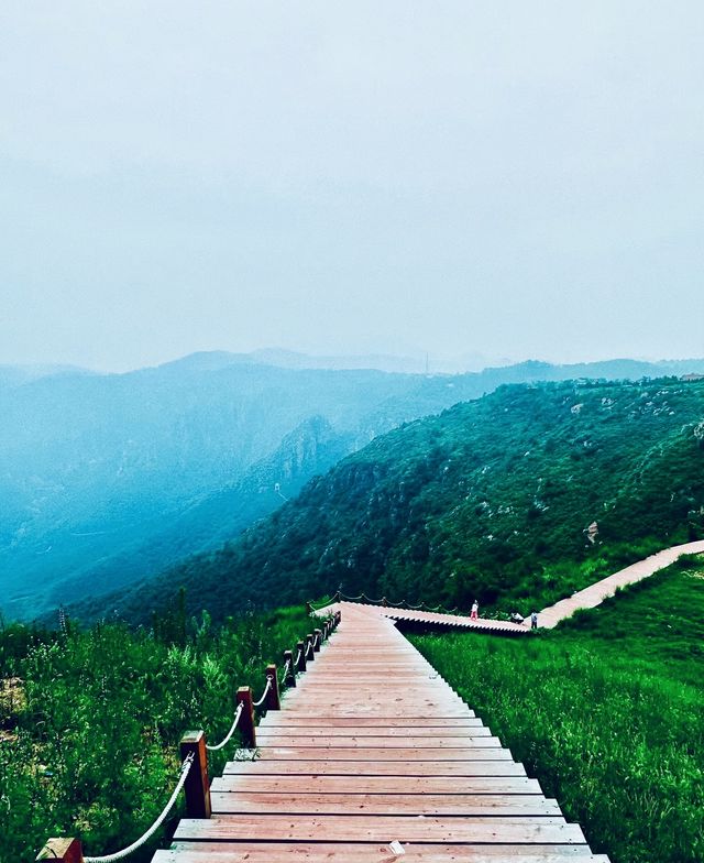 總要來一次伏羲山，看看屬於鄭州的阿勒泰