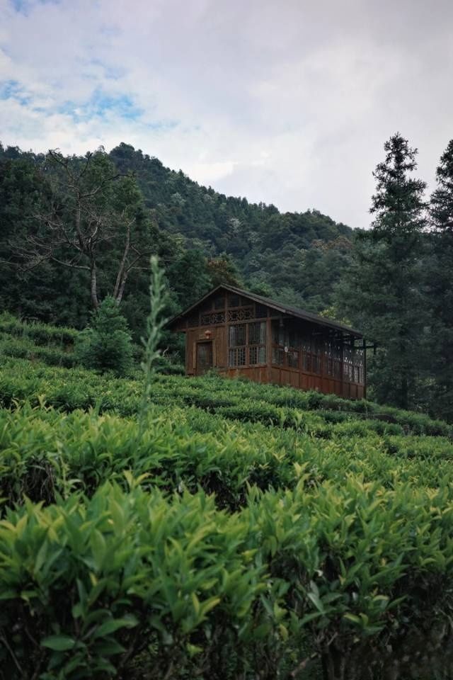 景點推薦打卡：姑婆山。