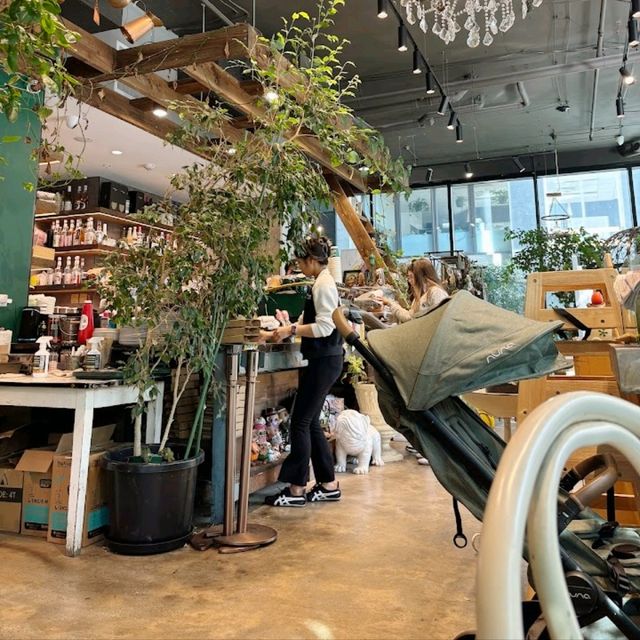 Beautiful cafe