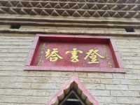 暢遊廣東徐聞風光。