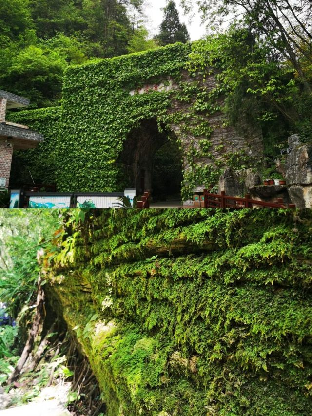 "四面削成，獨出於雲霄之半"，山巔如台。