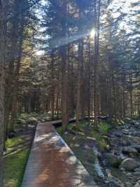 祁連山冰溝河景區。