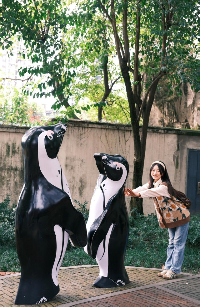 來成都玩一定不能錯過動物園。
