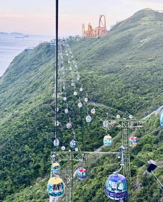 香港海洋公園|太治癒了吧。