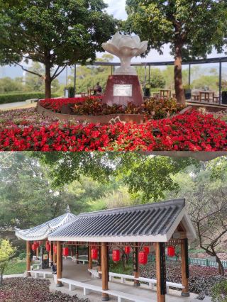 Crossing the ancient loess road, Zizhou County's geographical landscape and natural treasures Zizhou County. 