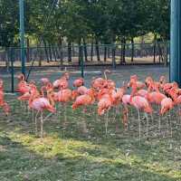 秦皇島野生動物園｜秋天必去遊玩好地方。