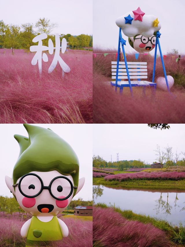 秋日限定，濱江森林公園粉黛子實拍攻略。