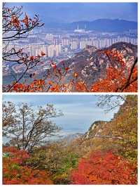 丹東鳳城鳳凰山，秋賞紅葉漫山遍野，層林盡染色彩斑斕。
