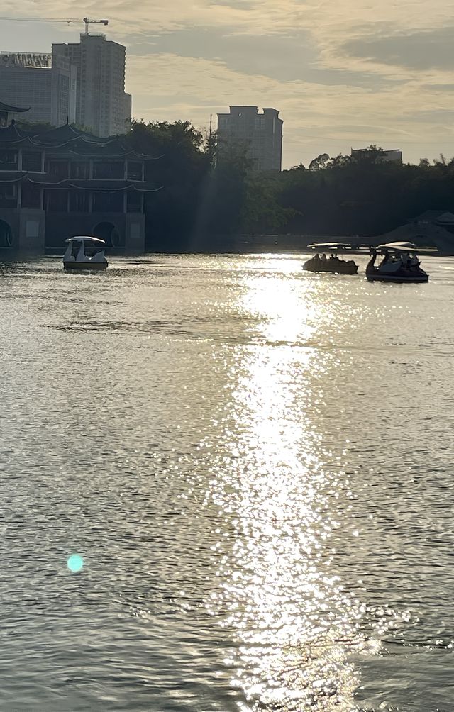 南寧獅山公園｜城市中的綠洲。