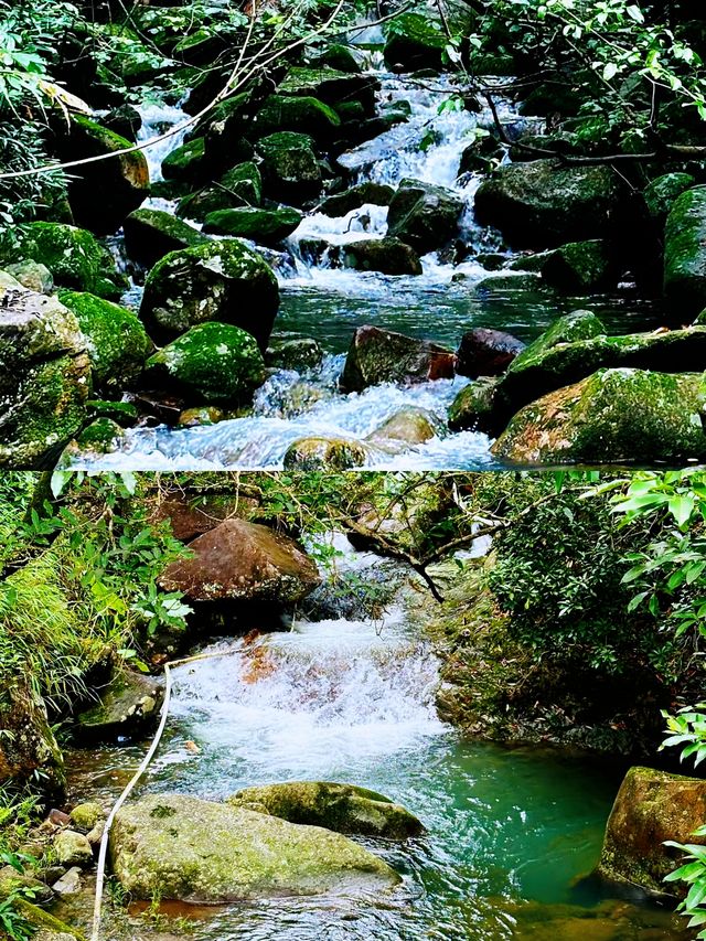 攀登東莞地標建築——銀瓶山一覽眾山小。
