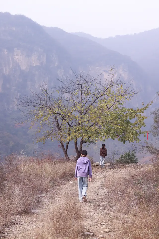 石家莊每周一山｜沒有難度的馬路垴。