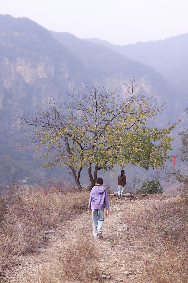 石家莊每周一山｜沒有難度的馬路垴。