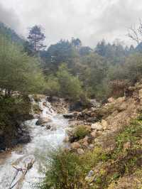 四川平武沙棘溝︱冷門寶藏小眾地。