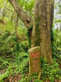 登頂塗山之巅，發現不一樣的風景。