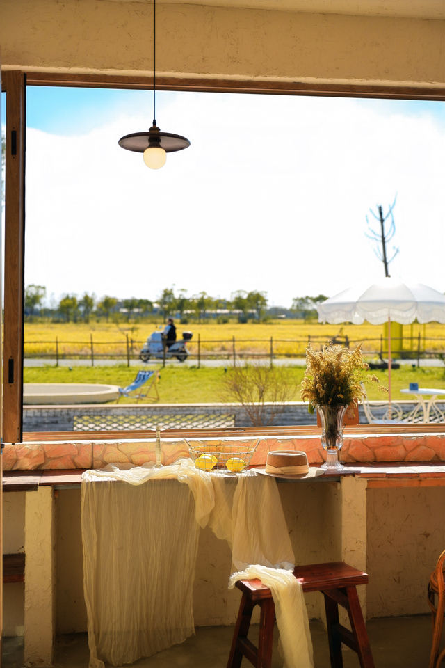 不敢相信上海也有喜洲版麥田就在李窯村。 不敢相信上海也有喜洲版麥田就在李窯村。