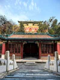 北京頤和園｜天鵝溫柔了皇家園林。