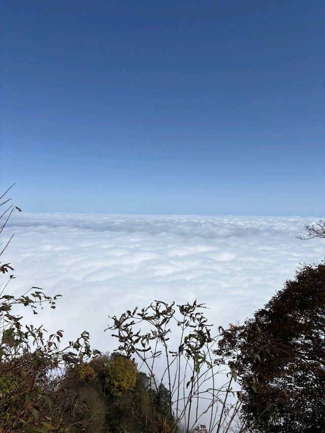 趙公山遊玩全攻略｜路線、準備、最佳時間一網打盡！。