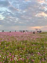 上海自駕1小時小眾旅遊地|定山湖大花海。