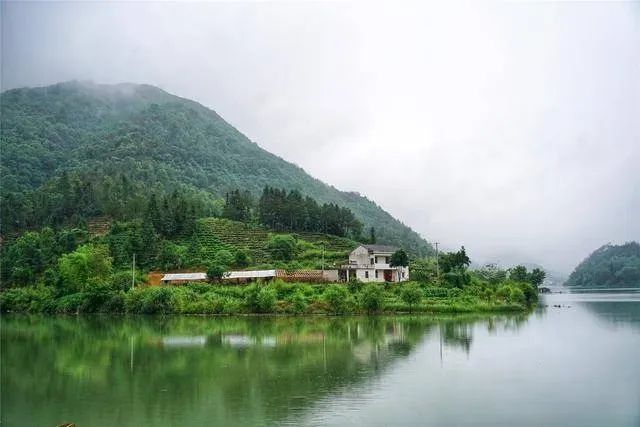 覓趣秋浦河，尋詩醉山野。