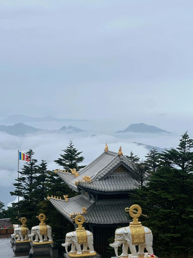 峨眉山-都江堰帶小朋友玩，這樣走不踩雷。