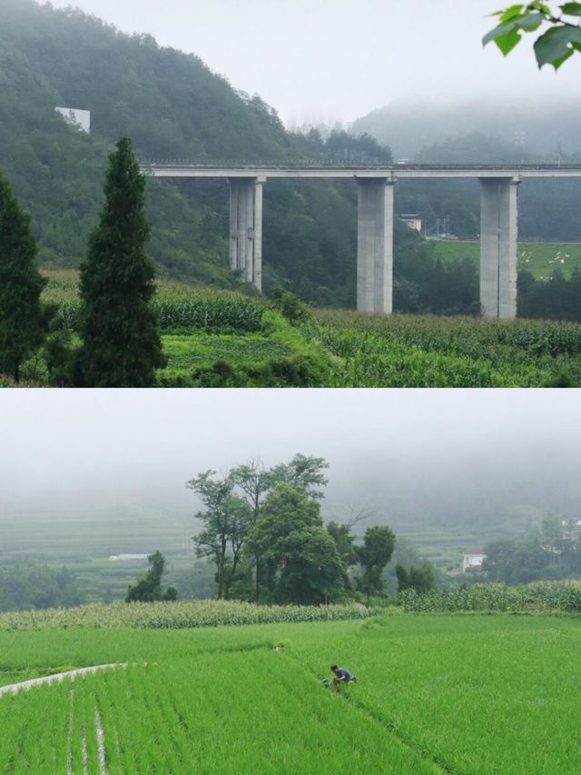 卡拉村分為三個模塊～。