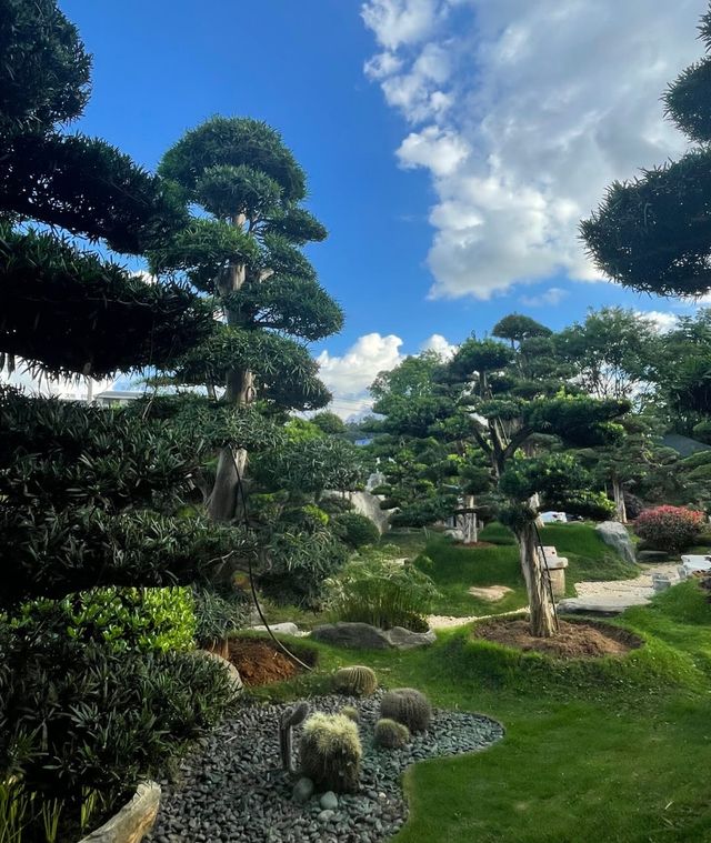 市區裡的寶藏秘境——昆明白鹿森林。