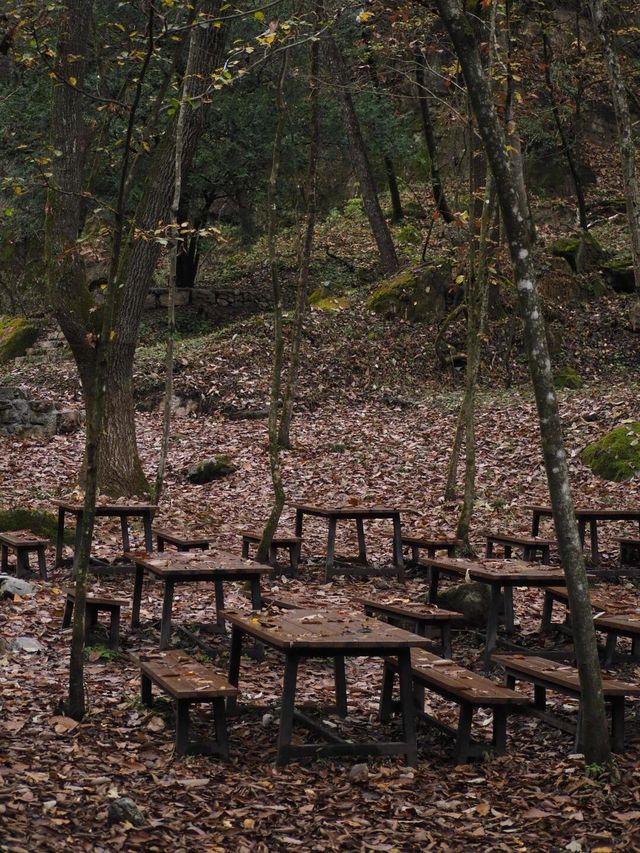 陝西商洛牛背梁國家森林公園｜都市人的公園。