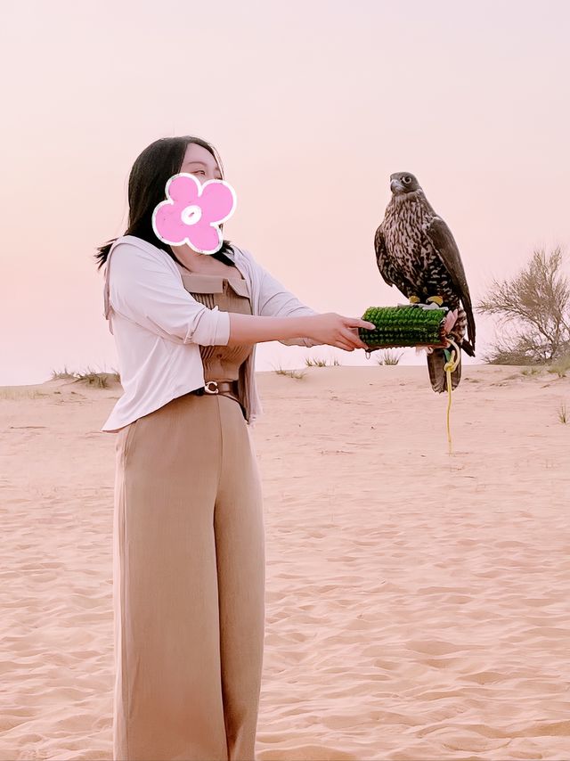 迪拜沙漠——滑沙帳篷熱氣球之旅。