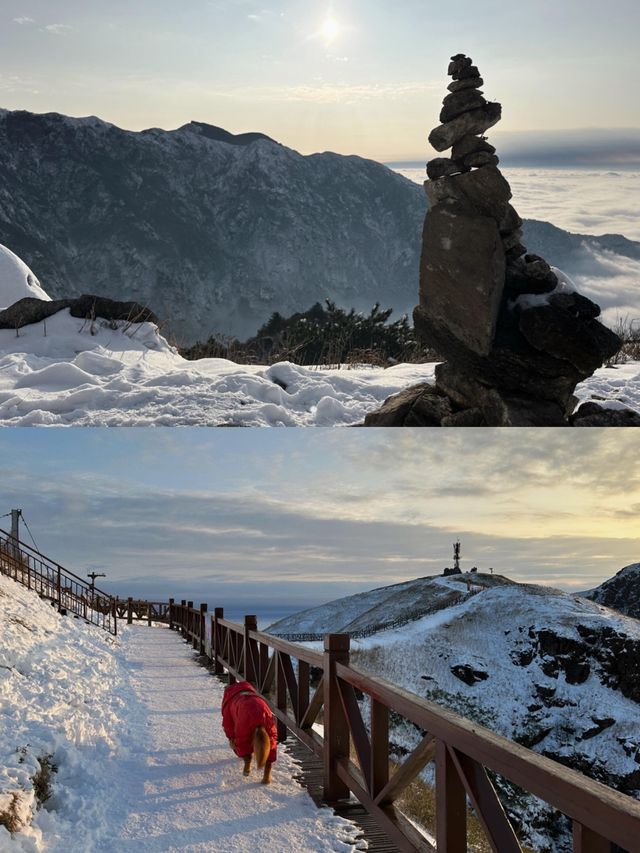 來爬武功山啦。